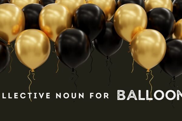 Collective Noun for balloons